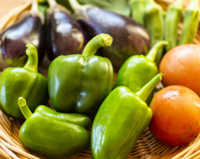 四季折々季節のお野菜作ってます！