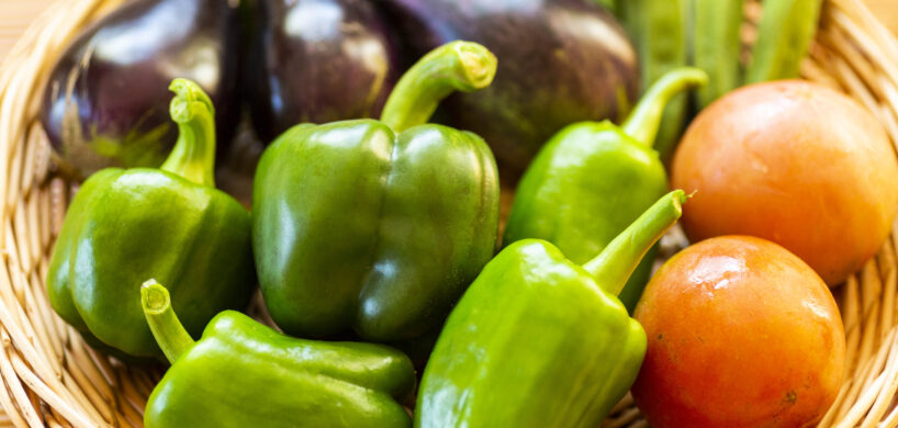 四季折々季節のお野菜作ってます！